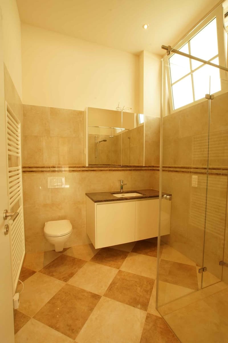 Appartement le plus spécial de 4 1/2 pièces dans le Mittelland avec 129 m2 ! (12)