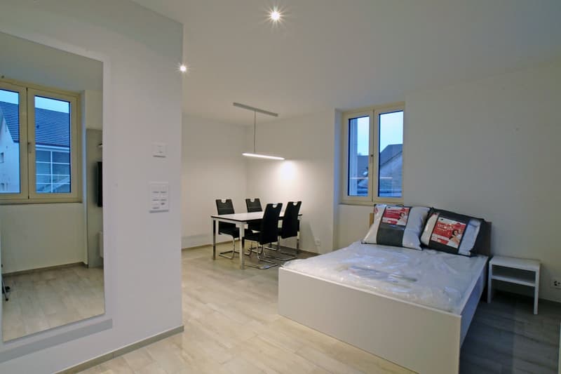 Möblierte 1-Zimmerwohnung - MFH Tell - Wohnung 25 (3)