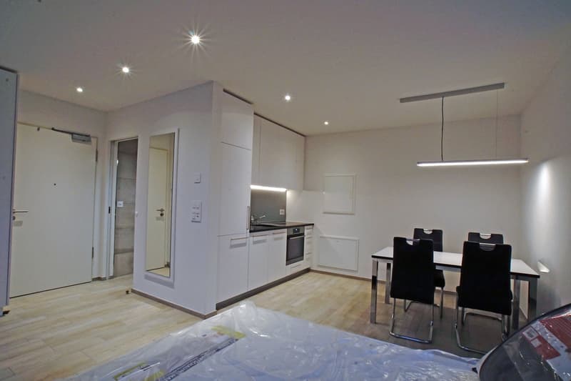 Möblierte 1-Zimmerwohnung - MFH Tell - Wohnung 25 (2)