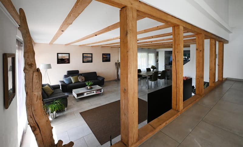 Detached single-family house with garden paradise and potential (3)