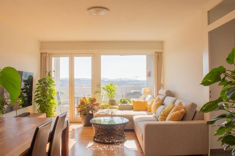 Urban living with a far-reaching view (1)