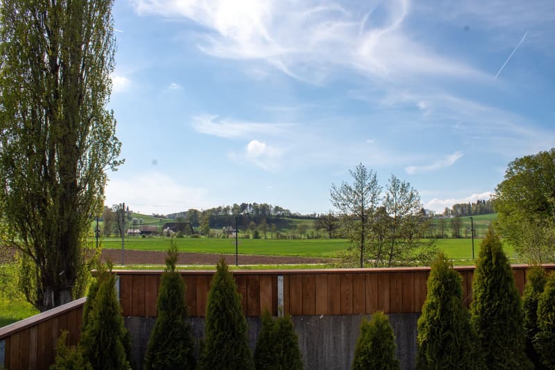 Familienglück nahe Langenthal (1)