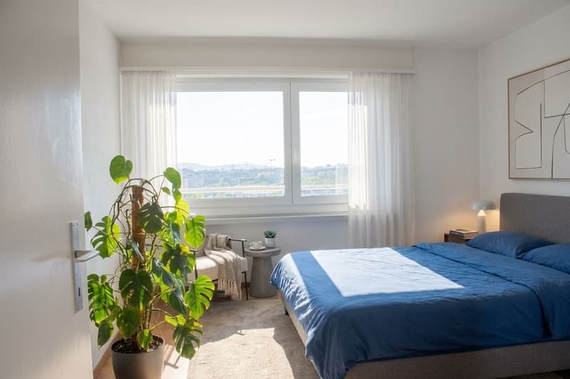 Vue dans le lointain - pour occupation personnelle ou investissement (6)