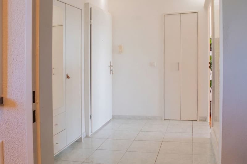 Vue dans le lointain - pour occupation personnelle ou investissement (8)