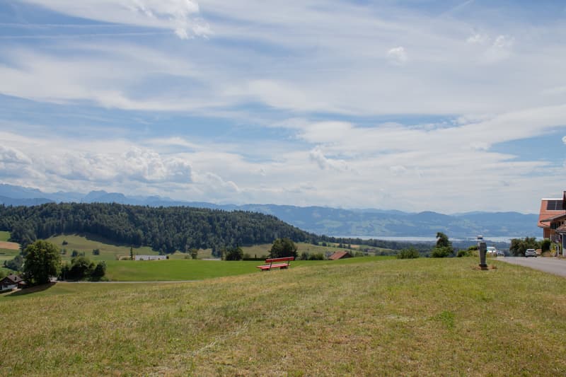 Historisches Anwesen mit 5'264 m² Land, Weitblick und drei Wohneinheiten (1)