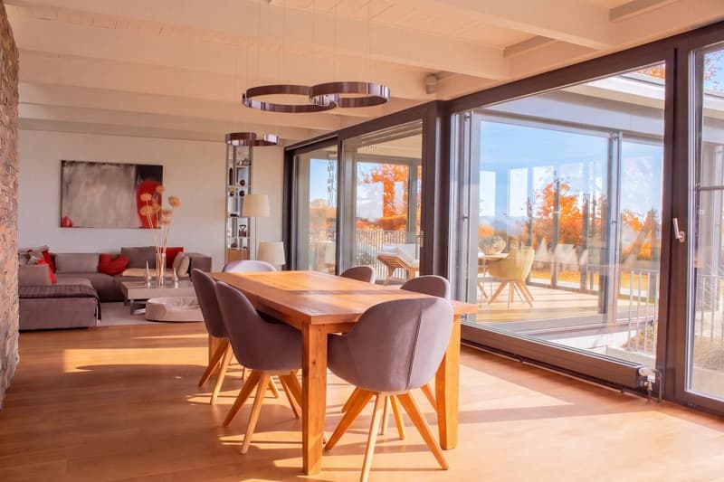 Ein Unikat am Jurasüdhang! Exklusives Wohnen 15 Min von Olten. (4)