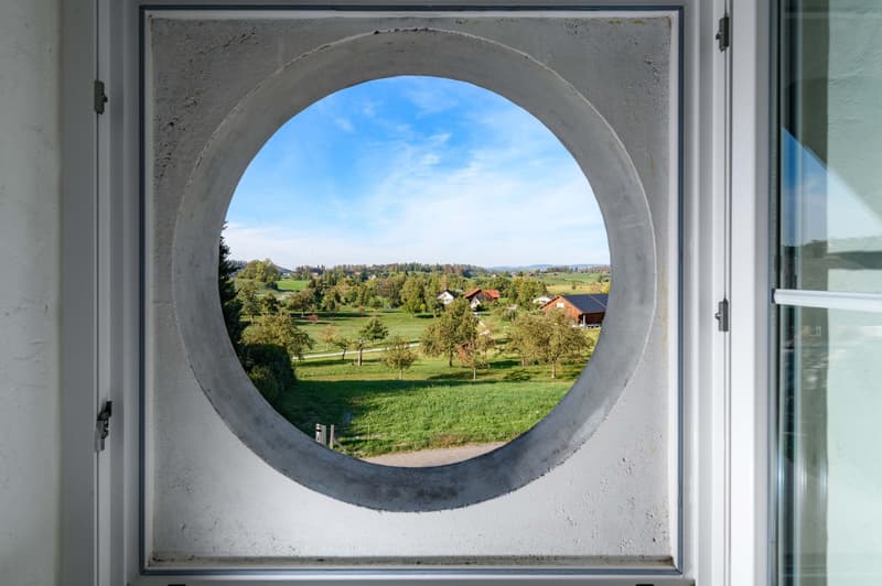 Ihr neues Zuhause - 6½-Zi.Haus mit Pool und Einliegerwohnung beim Lützelsee (14)