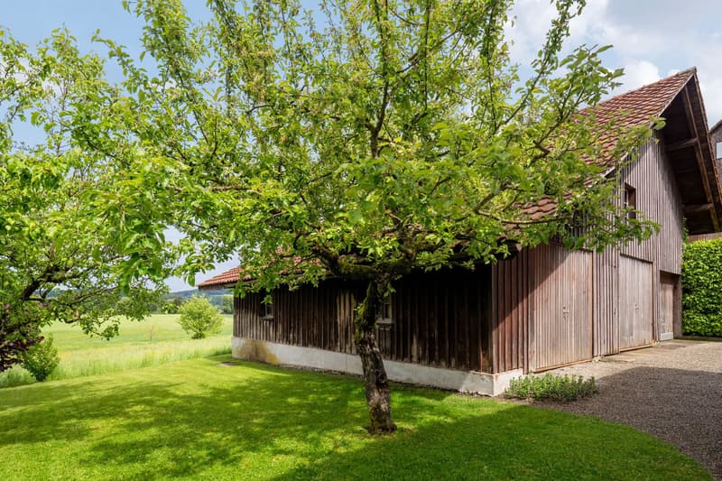 Building plot with potential in Wildberg - 1'162 m² for sale (4)