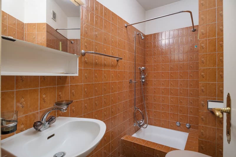 Ihre Wohnung. Ihre Ideen. Ihr Zuhause. (10)