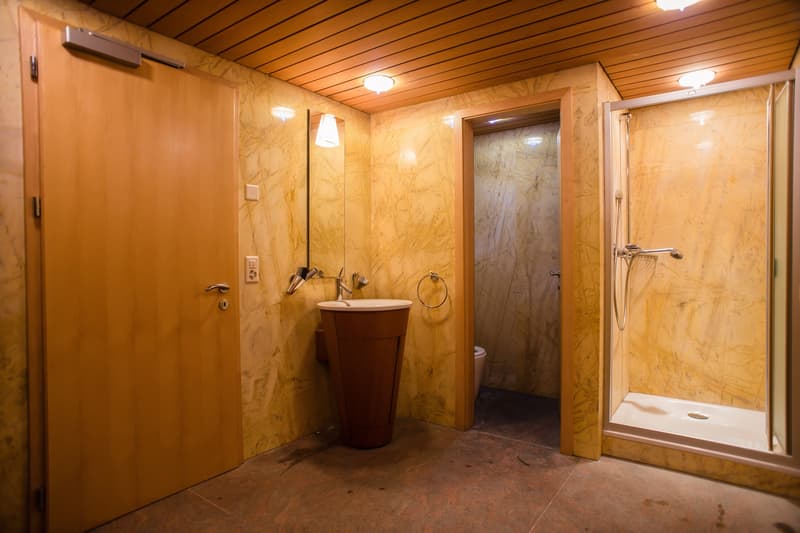 Landvilla mit Wellnessoase und Parkanlage (11)