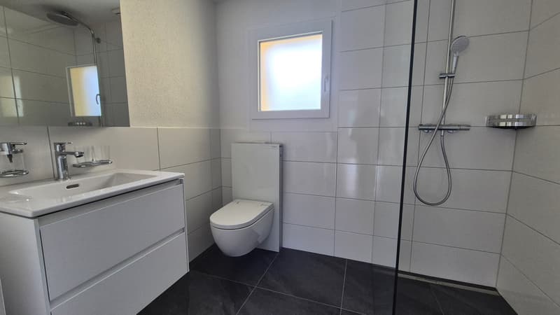 NACHMIETER GESUCHT - sanierte Wohnung an ruhiger Lage (5)