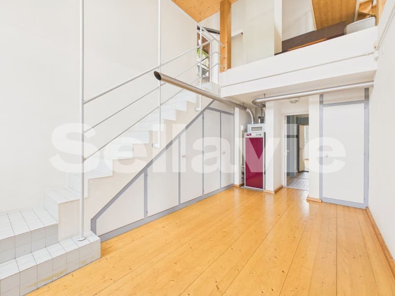 Exclusive architectural gem in an idyllic location in Seewen! (9)