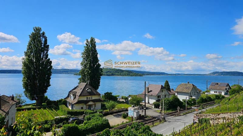 Maison de vigneron charmante avec vue sur le lac – Vivre dans un emplacement privilégié (1)