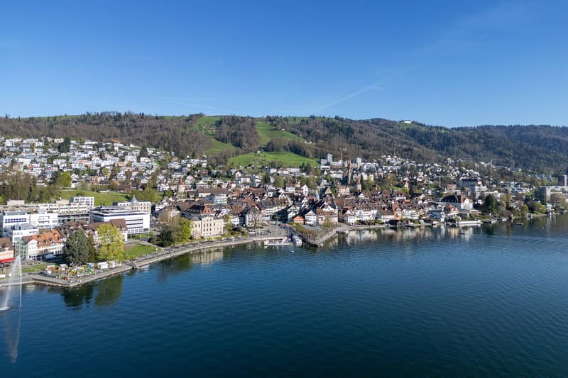 Repräsentative Stadtvilla der Extraklasse in Zug (1)