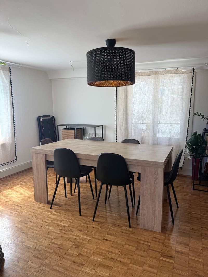 Gemütliche Wohnung mit malerischer Aussicht in Wädenswil – ab 01.10.2026 (6)