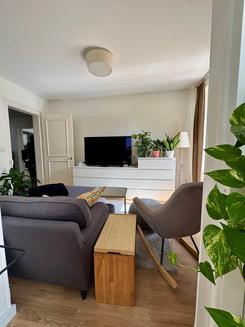 Charmante 5-Zimmer-Wohnung mit Terrasse im Zentrum von Wädenswil (5)