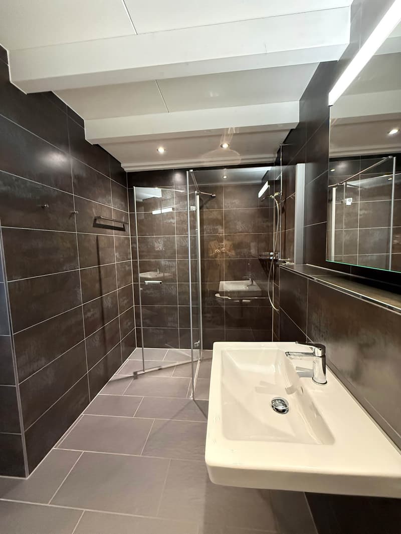 Moderne 2 Zimmer - Dachgeschosswohnung mit Balkon in Leuggern (5)