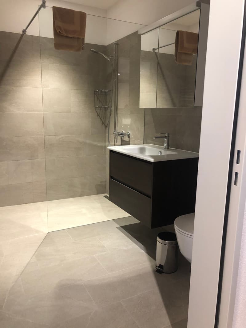 Charmantes möbliertes 1-Zimmer-Apartment im Herzen von Zürich (4)