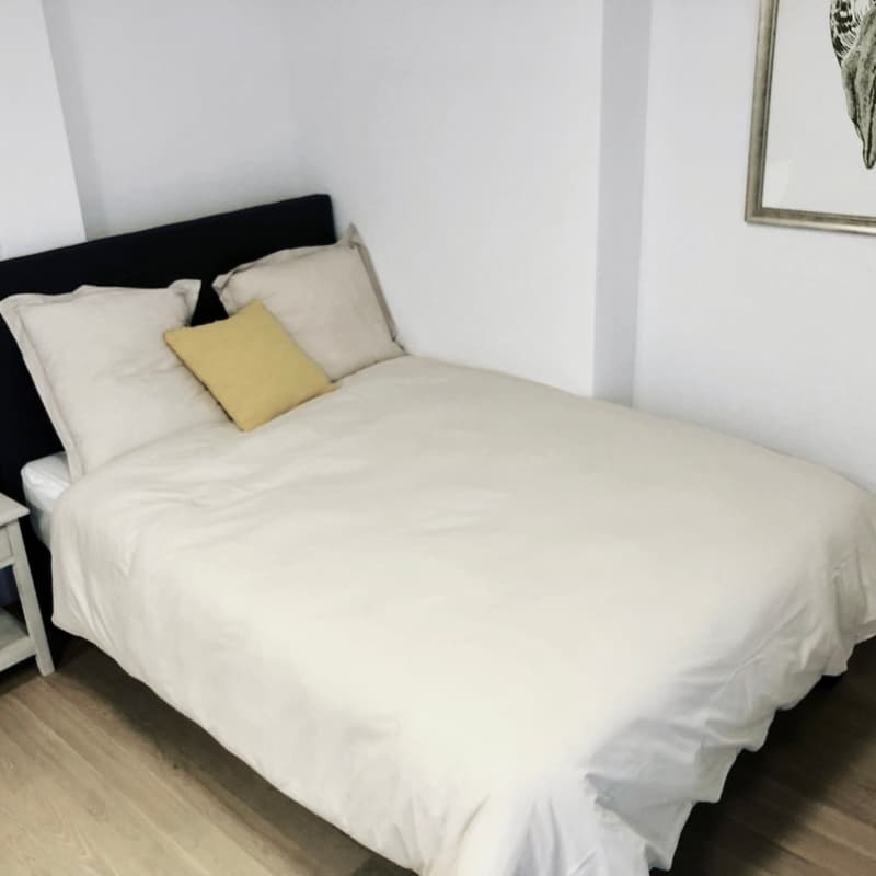 Charmantes möbliertes 1-Zimmer-Apartment im Herzen von Zürich (3)