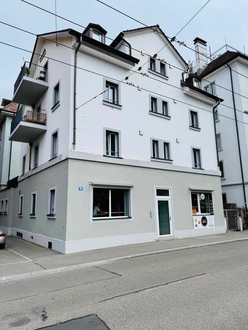 Charmantes möbliertes 1-Zimmer-Apartment im Herzen von Zürich (1)
