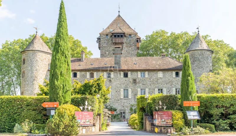 Exceptional waterfront château near Geneva (12)