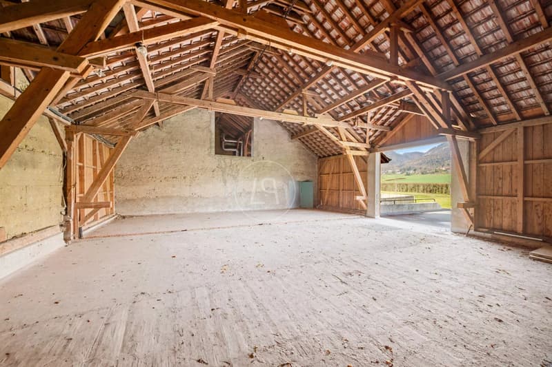 Un domaine à réinventer en une résidence privée exceptionnelle, aux portes de Genève (9)