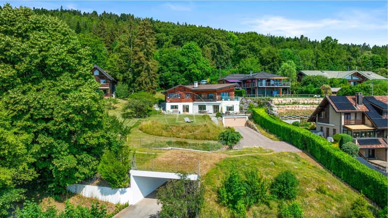 Charmanende Immobilie mit 180-Grad-Blick in Arzier-Le Muids (2)