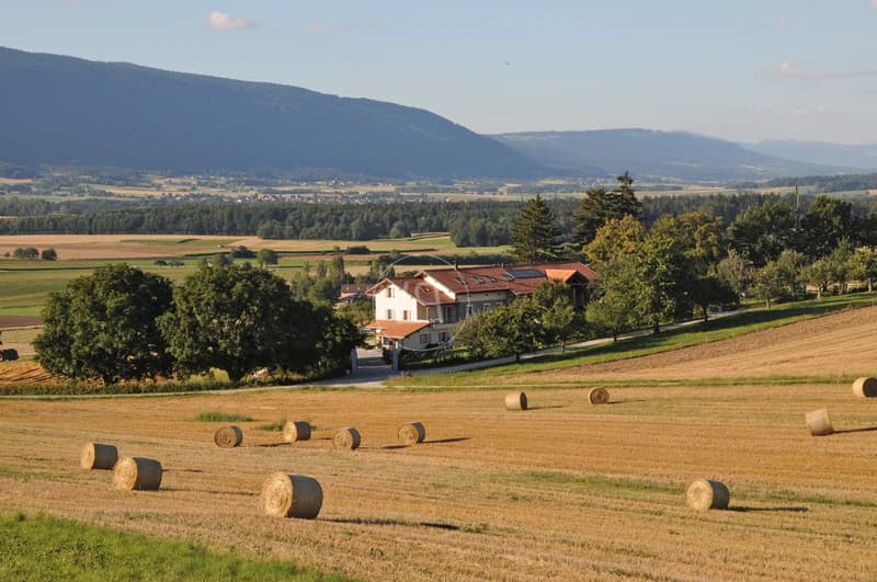 Elegantes renoviertes Bauernhaus mit Swimmingpool, Essertines-sur-Rolle (7)