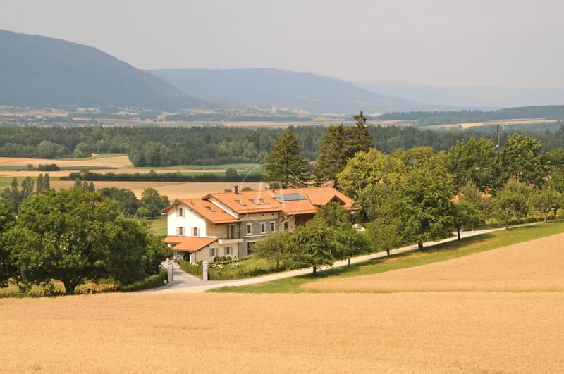 Elegantes renoviertes Bauernhaus mit Swimmingpool, Essertines-sur-Rolle (13)