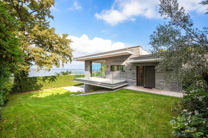 Villa contemporaine d'exception, vue et accès privé au lac,rive gauche (2)
