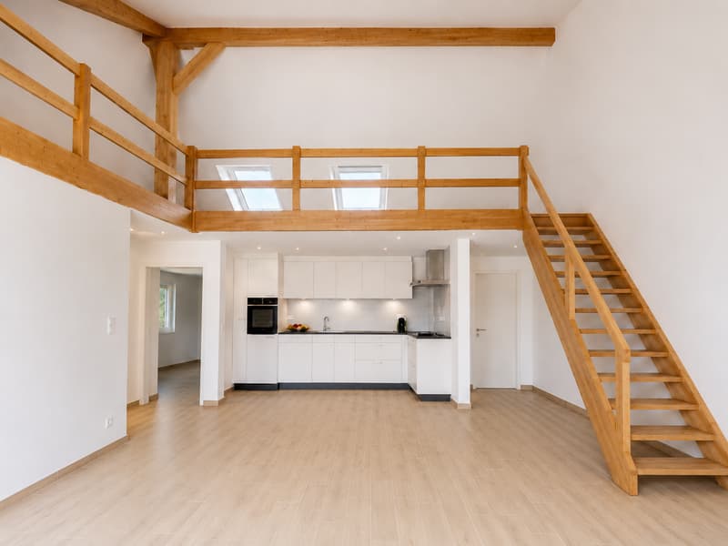 Magnifico duplex nuovo di 4.5 locali a Cornaux (1)