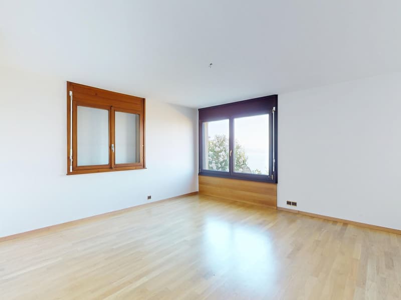 Magnifique villa de 7 pièces à Grandvaux avec vue exceptionnelle (9)