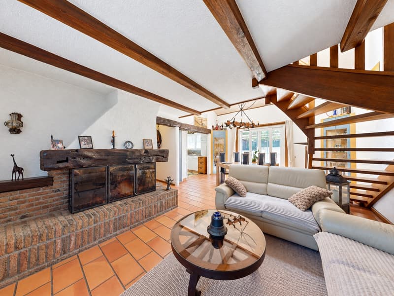 Maison de maître avec 4 appartements à Chevroux (11)