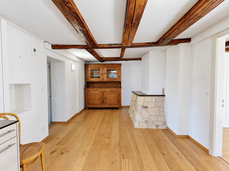 Maison de maître avec 4 appartements à Chevroux (15)