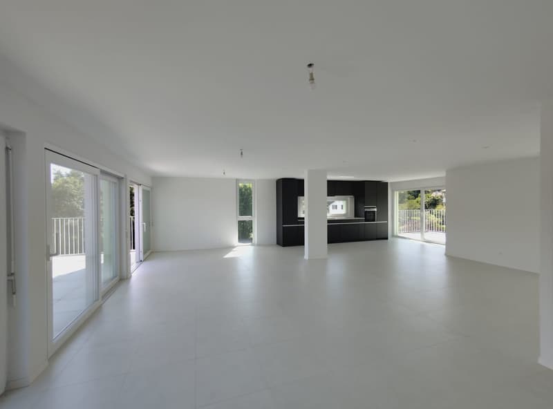 Magnifico attico di 6.5 locali, nuovo, con terrazza e vista panoramica, e ascensore privato (5)