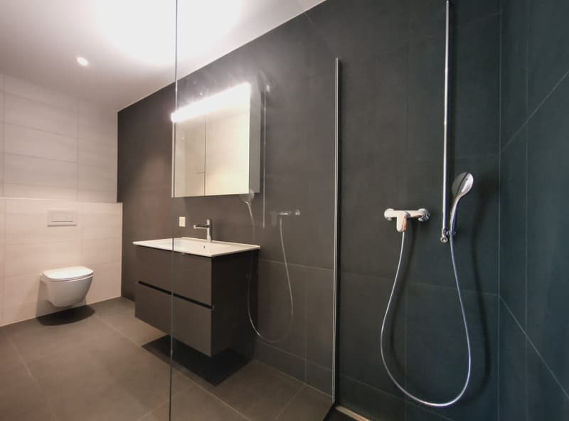Magnifico attico di 6.5 locali, nuovo, con terrazza e vista panoramica, e ascensore privato (8)
