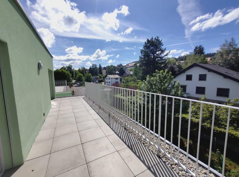 Magnifico attico di 6.5 locali, nuovo, con terrazza e vista panoramica, e ascensore privato (11)