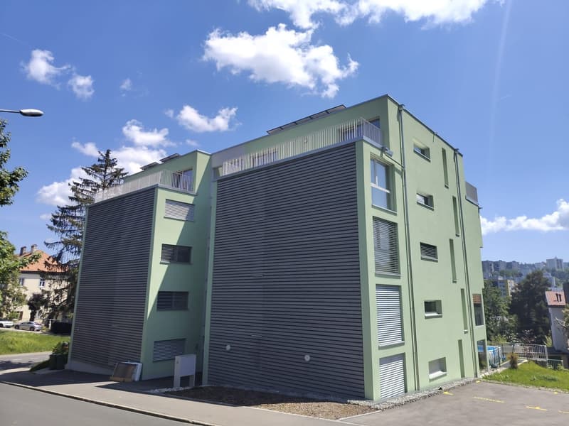 Magnifico attico di 6.5 locali, nuovo, con terrazza e vista panoramica, e ascensore privato (13)