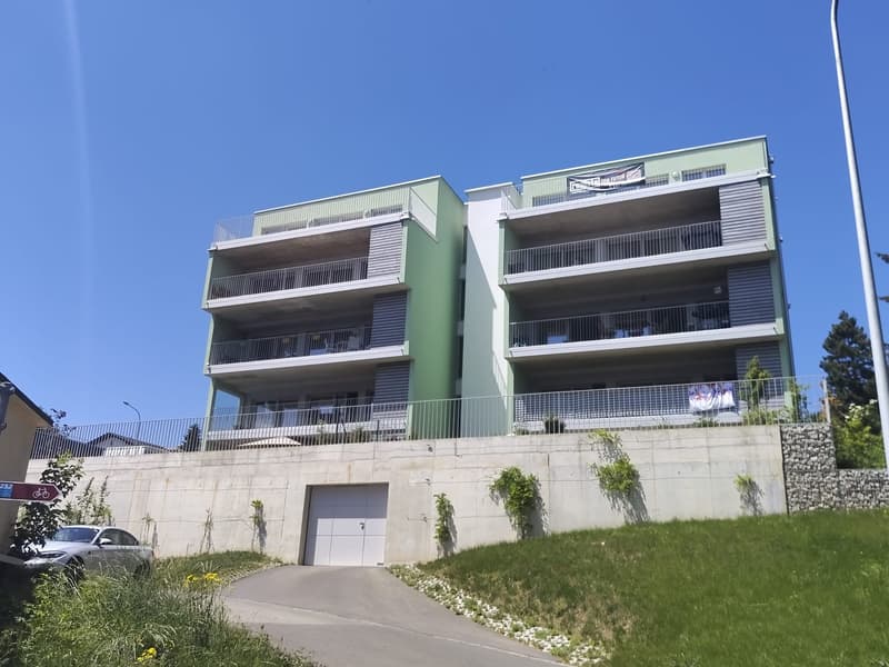 Magnifico attico di 6.5 locali, nuovo, con terrazza e vista panoramica, e ascensore privato (12)