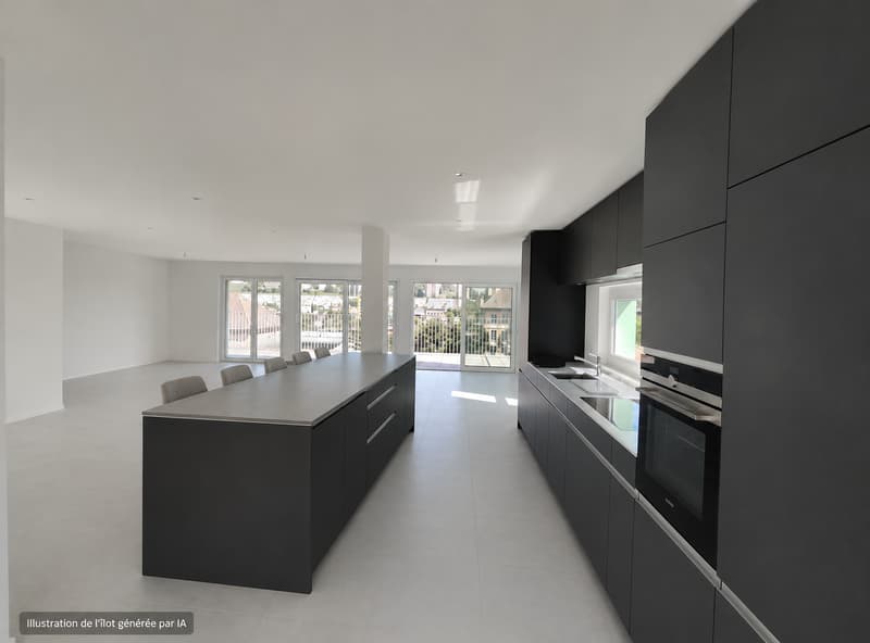 Magnifico attico di 6.5 locali, nuovo, con terrazza e vista panoramica, e ascensore privato (1)