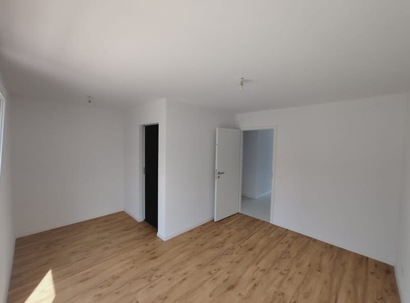 Magnifico attico di 6.5 locali, nuovo, con terrazza e vista panoramica, e ascensore privato (6)