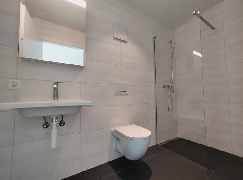 Magnifico attico di 6.5 locali, nuovo, con terrazza e vista panoramica, e ascensore privato (10)
