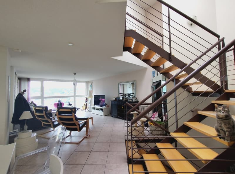 Casa a schiera triplex spaziosa e luminosa a La Chaux-de-Fonds (3)