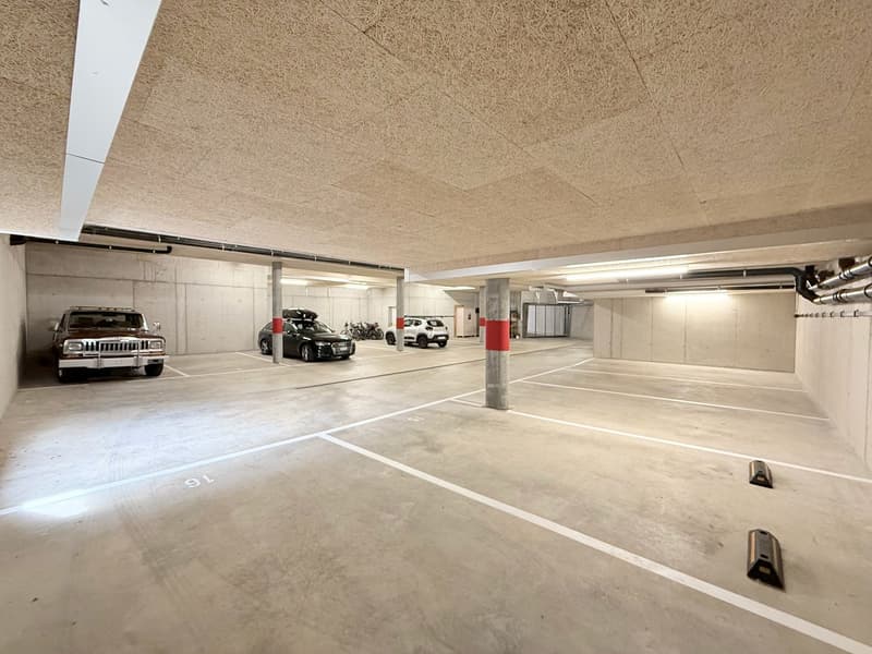 Moderne 4.5-Zimmer-Neubauwohnung im Erdgeschoss in Frutigen (25)
