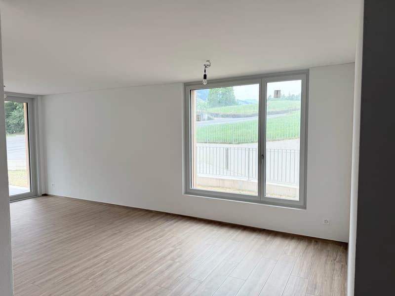 Moderne 4.5-Zimmer-Neubauwohnung im Erdgeschoss in Frutigen (13)