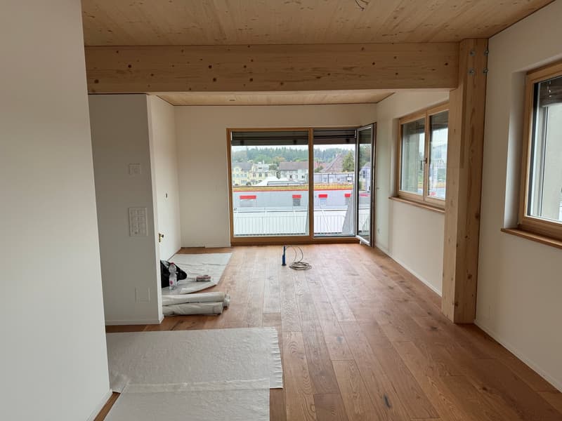 3.5-Zimmer-Attikawohnunng mit Sommerkühlung zu vermieten (14)