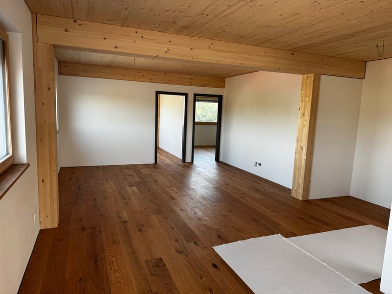3.5-Zimmer-Attikawohnunng mit Sommerkühlung zu vermieten (4)