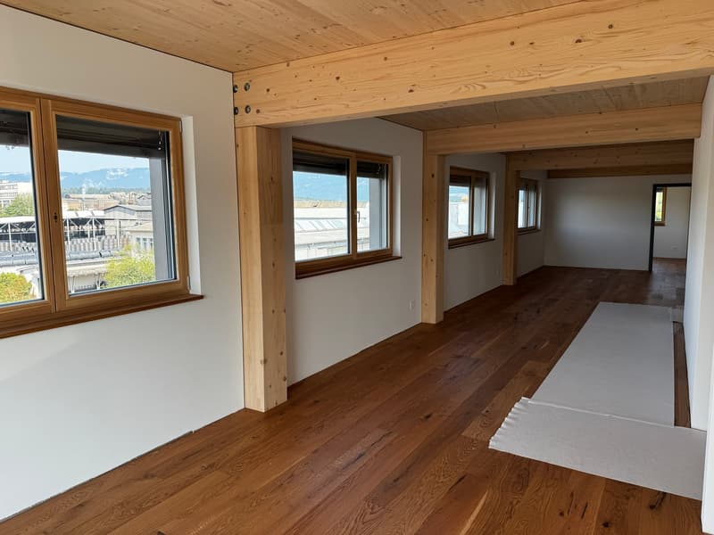 3.5-Zimmer-Attikawohnunng mit Sommerkühlung zu vermieten (3)