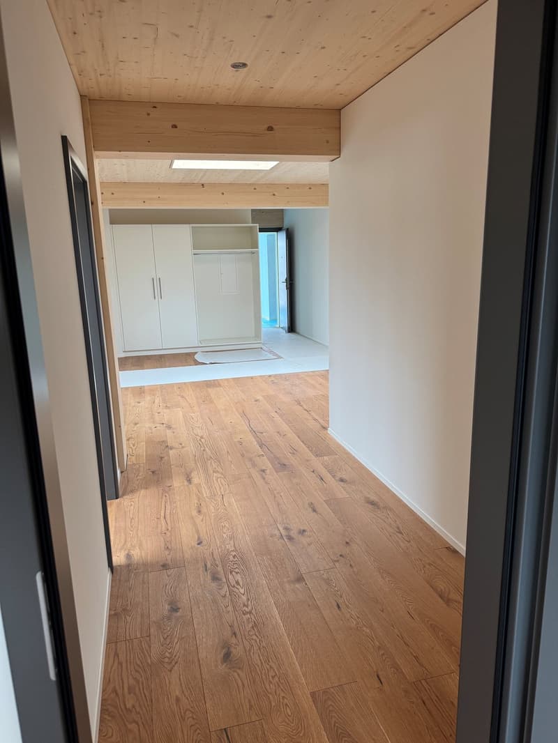 3.5-Zimmer-Attikawohnung mit Sommerkühlung zu vermieten (2)