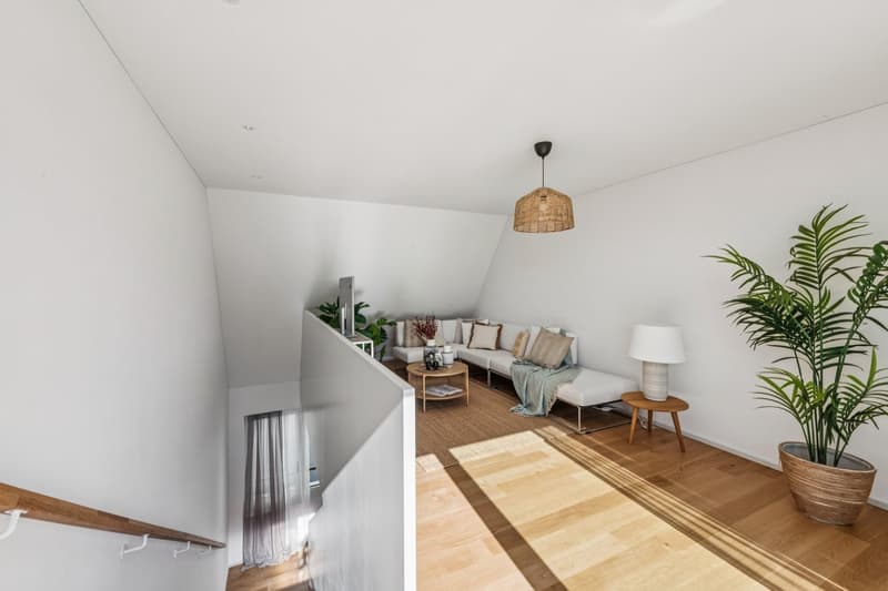 Deux niveaux, 33 m² d'espace extérieur – au cœur de Baden (3)